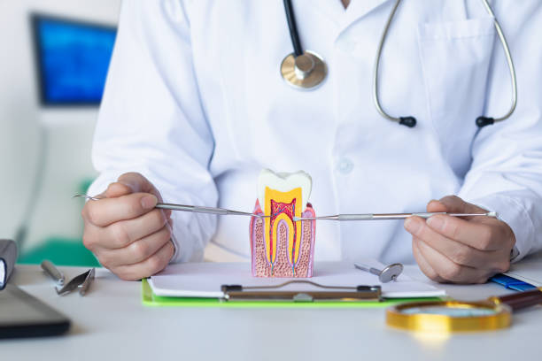 Best Emergency Dental Extractions in Haskell, AR